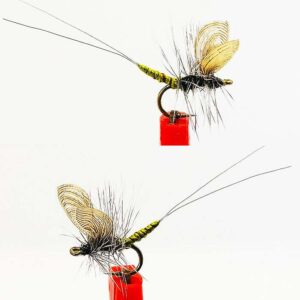 Extended Body Blue Wing Olive (BWO) Dry Fly