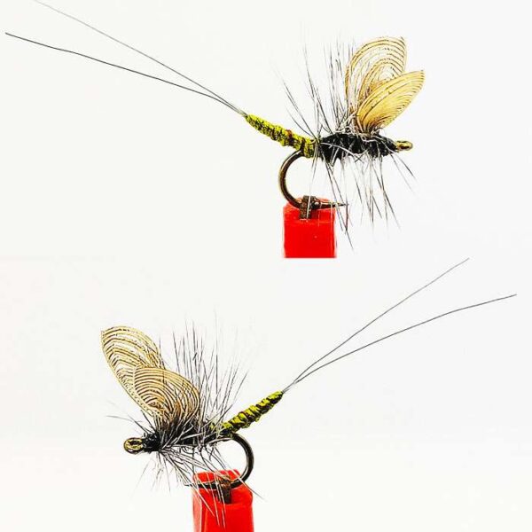 Extended Body Blue Wing Olive (BWO) Dry Fly