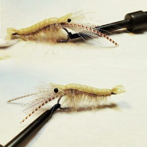 360 Effect Tan Saltwater Sand Shrimp