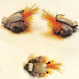 360 Effect Saltwater Sand Crab