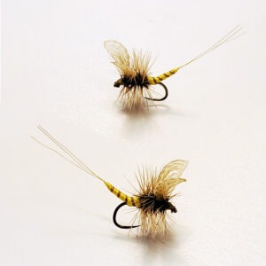 Extended Body Wally Wing Little Yellow Mayfly Dun