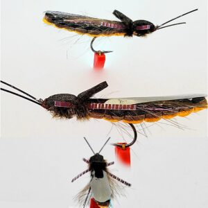 Giant Salmon Fly Adult