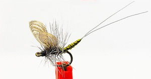 Extended Body Wally Wing Bwo Mayfly Dun